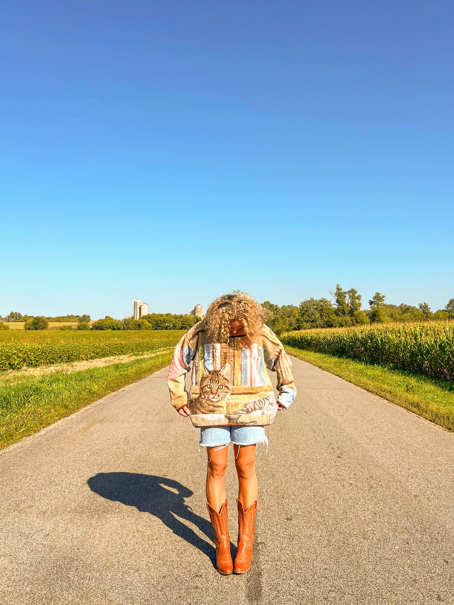 Cat and Yarn Sweater
