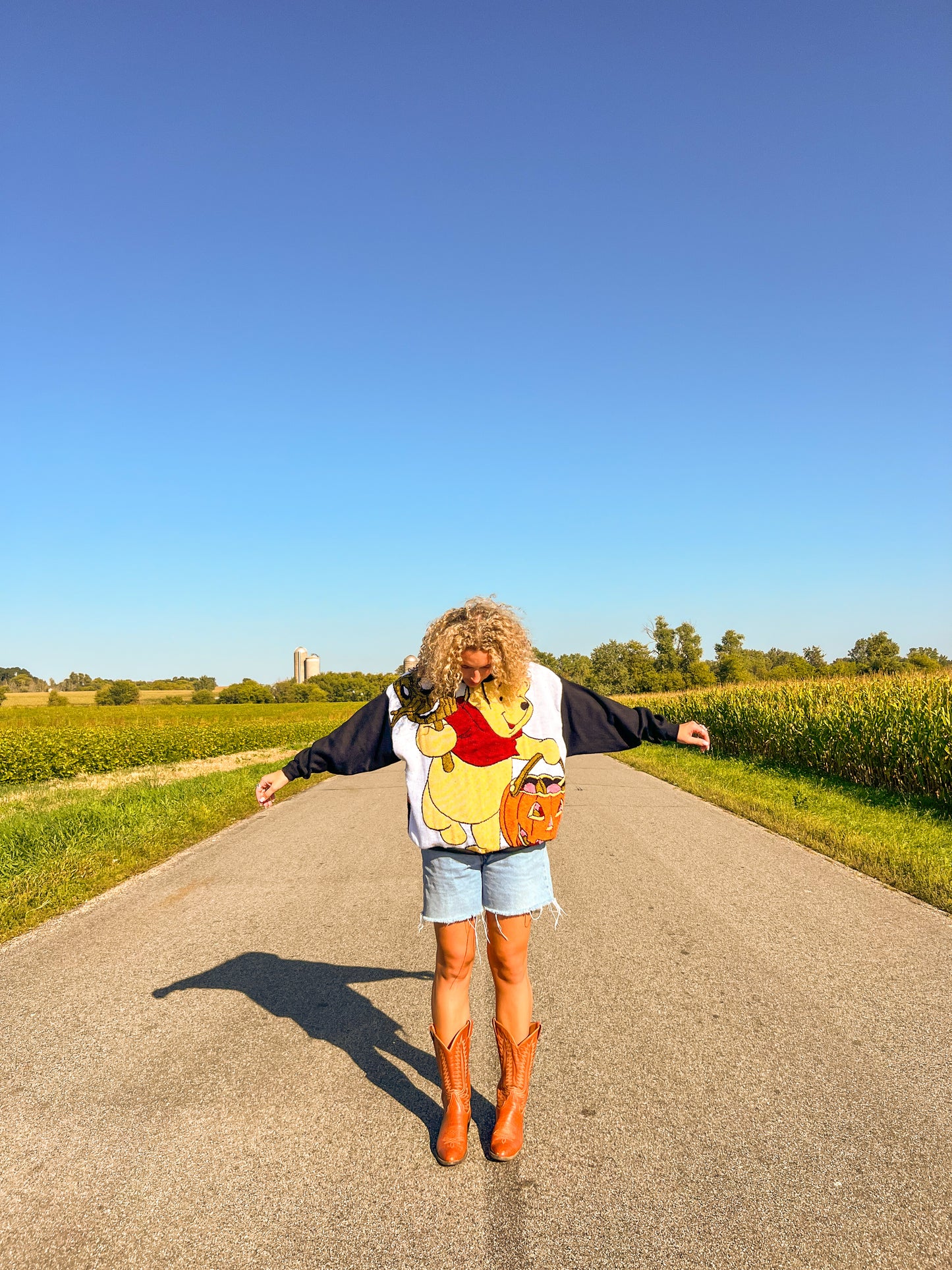 Winnie the Poo Halloween Hoodie